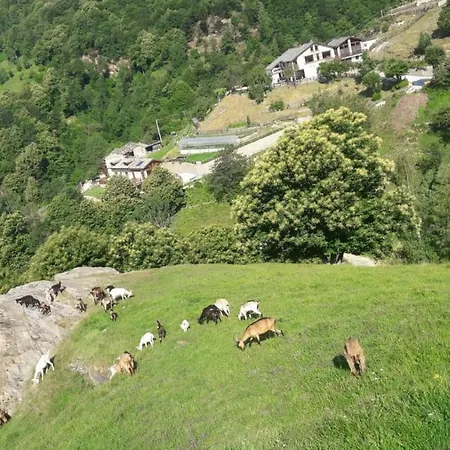 Agriturismo Fiorendo Pinerolo Esterno foto