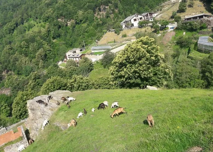 Agriturismo Fiorendo