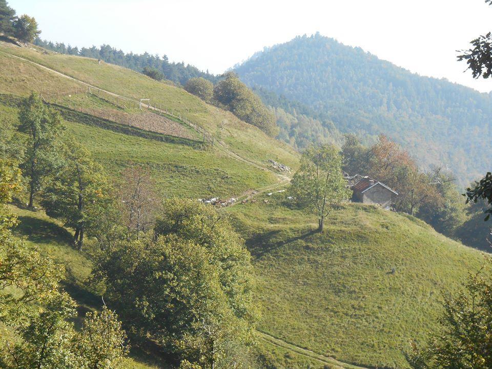 Fiorendo Bauernhof
