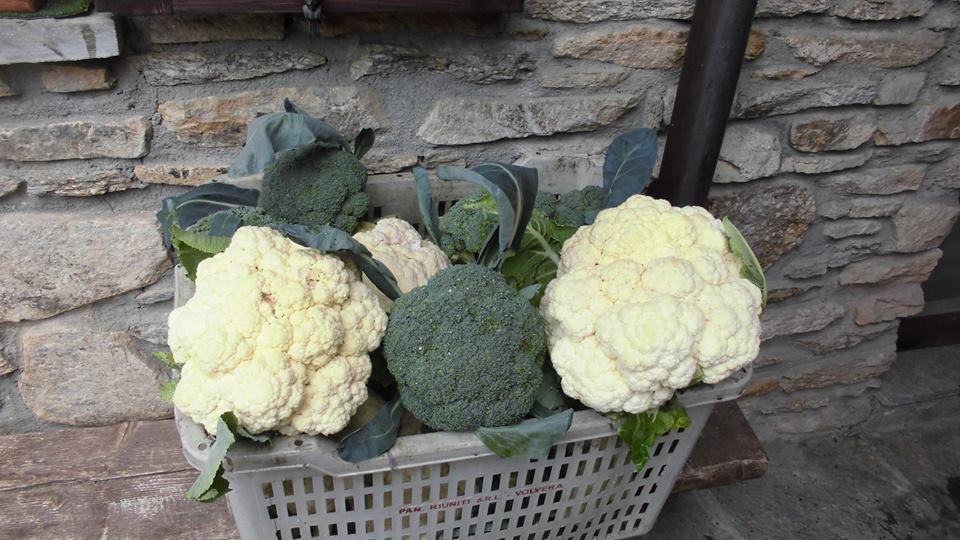 Alloggio per agriturismo Fiorendo
