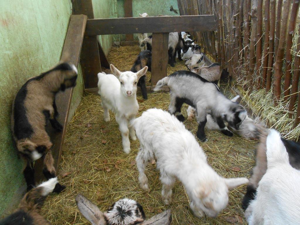 Fiorendo Bauernhof