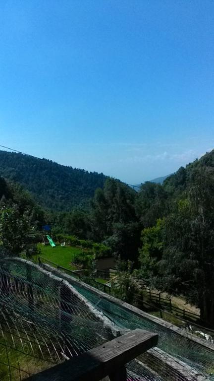 Alloggio per agriturismo Fiorendo *