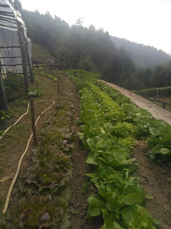 Fiorendo Alojamento de Turismo Rural Pinerolo
